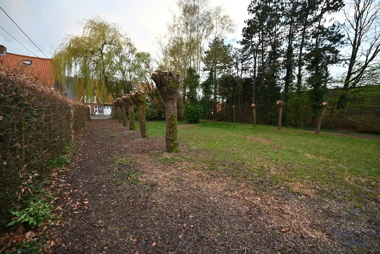 Grond te koop foto 2