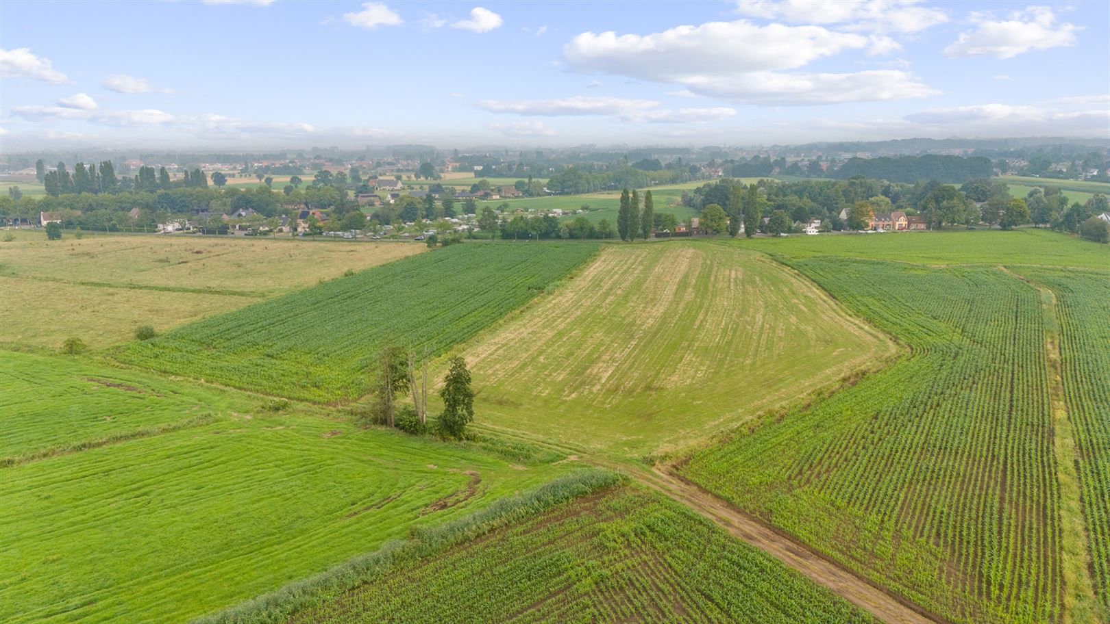 Boerderij met iets meer dan 38ha grond foto 10