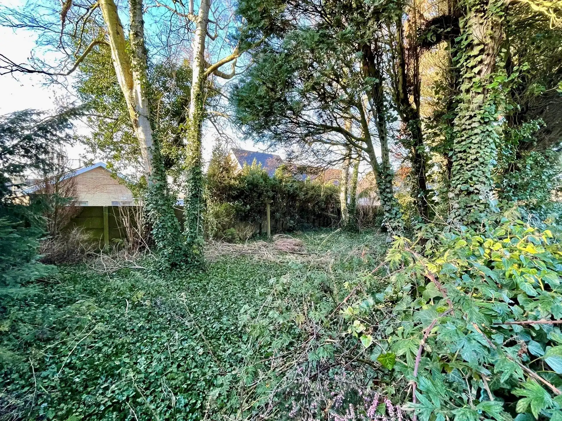 Commercieel gelegen woning met atelier (370m2) op 1198m2! foto 7