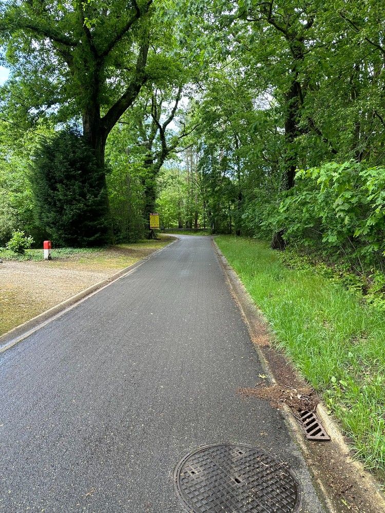 Genk, Wijerdriesstraat 51 - Mooie bouwgrond voor open bebouwing van 14a 62ca. foto 2