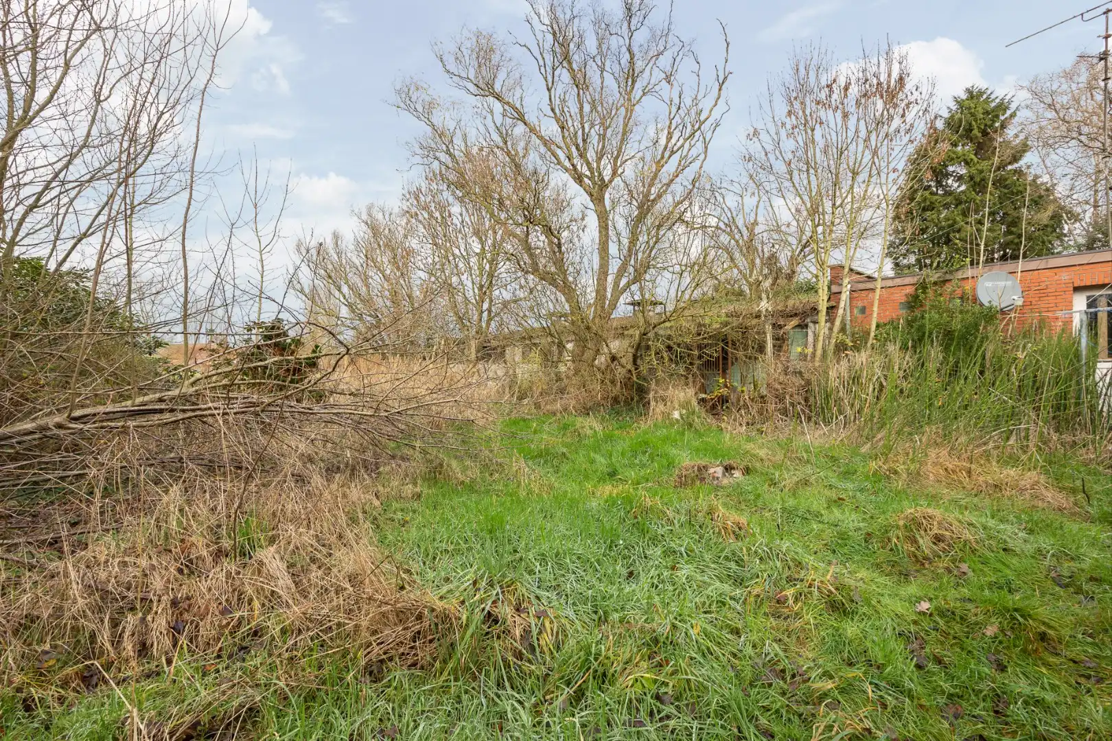 Unieke eigendom op 13.183 m² met te renoveren woning en vergunde stallingen foto 26