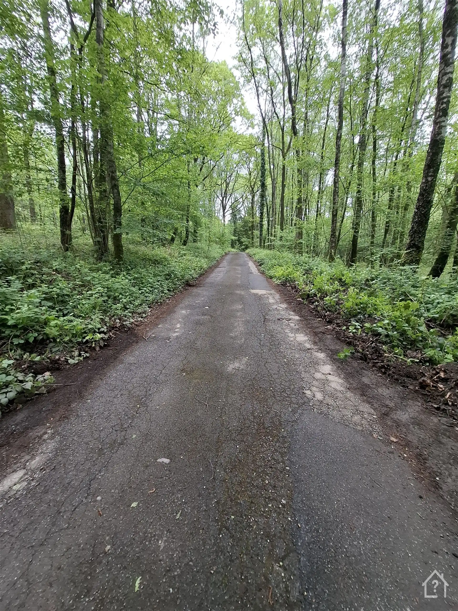 Grond te koop 5670 OIGNIES-EN-THIÉRACHE