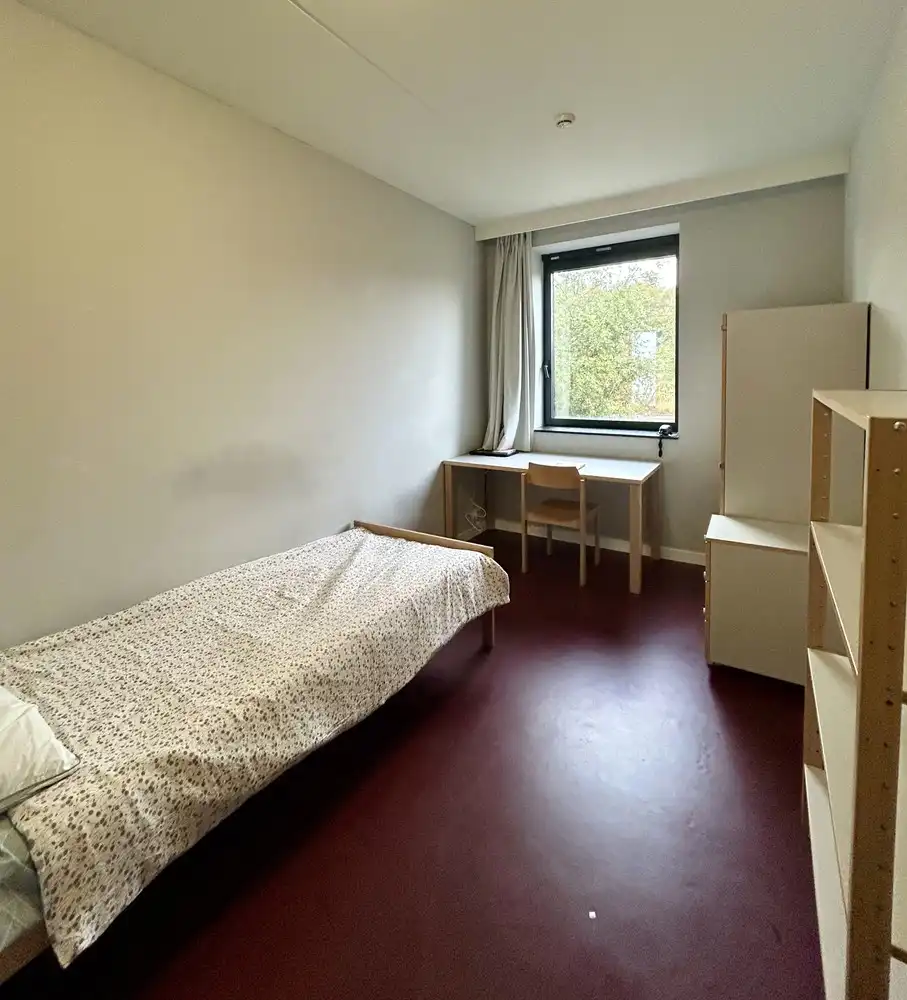 Zorgeloze vastgoedinvestering in hartje Leuven foto 3