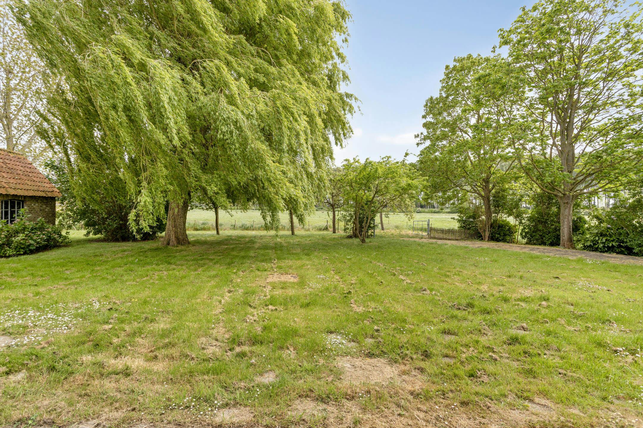 Idyllisch gelegen huis langs de Oude Sluissedijk te Damme foto 6