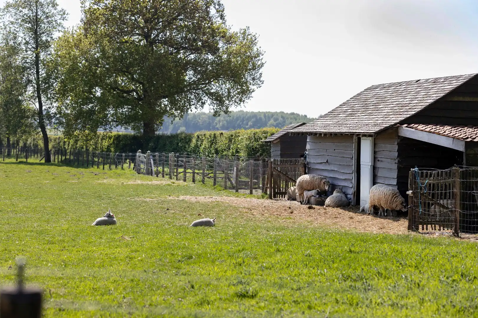 DOMEIN  MET 5 VAKANTIEWONINGEN, EEN ESTAMINET EN EEN VILLA foto 19