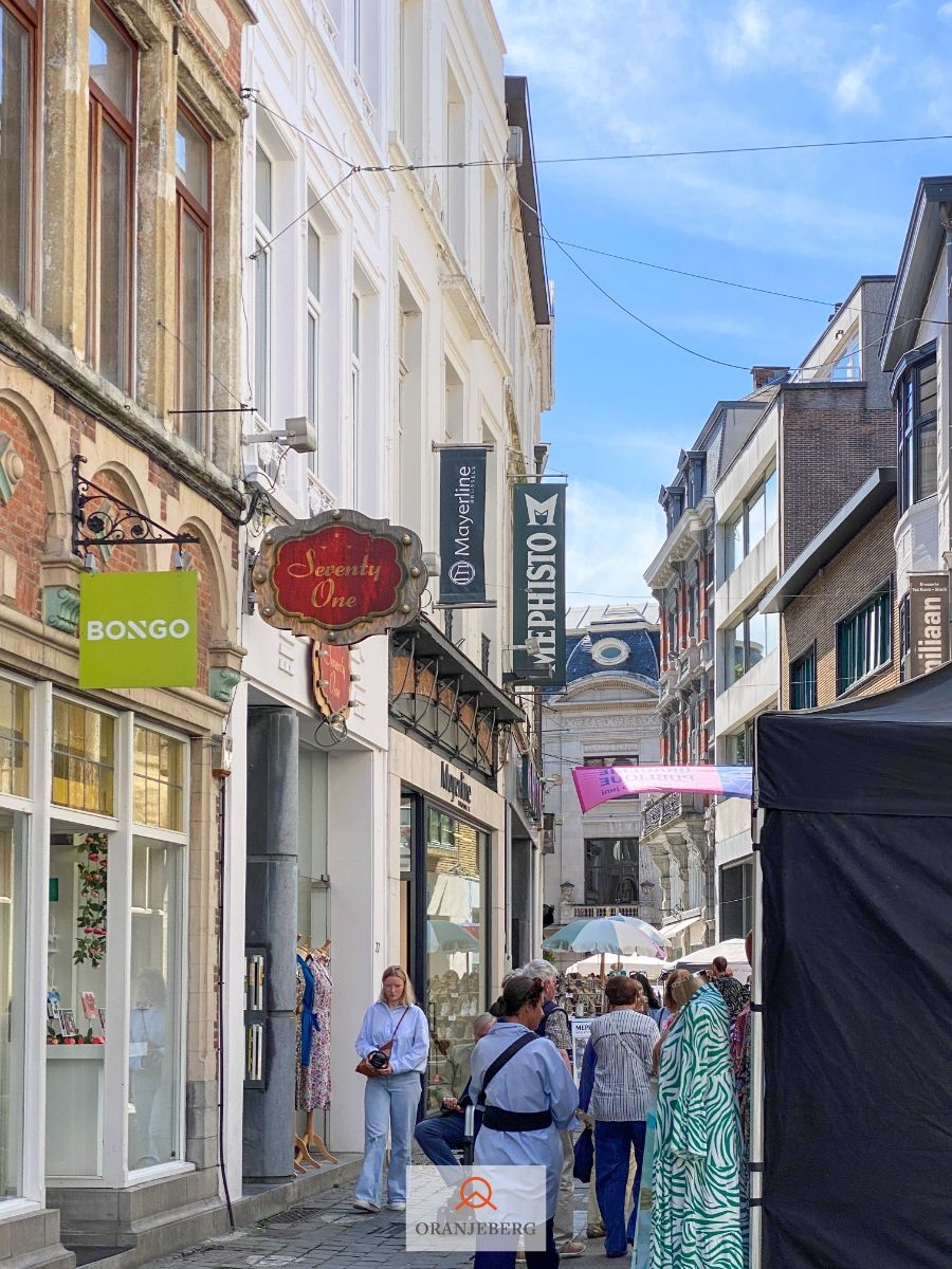 Handelspand in sympathiek steegje naast Mageleinstraat foto 39