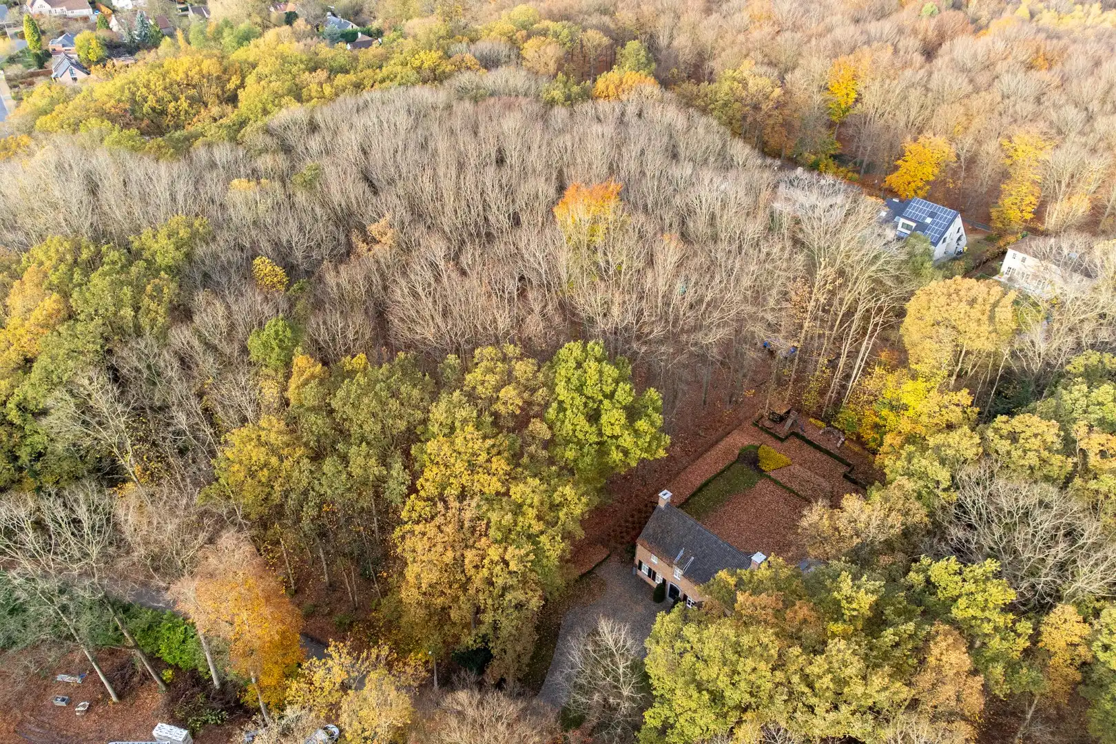 Prachtige bouwgrond van 22a 63ca te koop op een toplocatie in Hoog-Linden!  foto 6