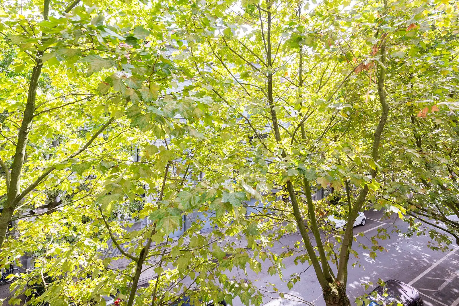 Woning met 6 slaapkamers, volledig naar eigen smaak renoveren foto 20