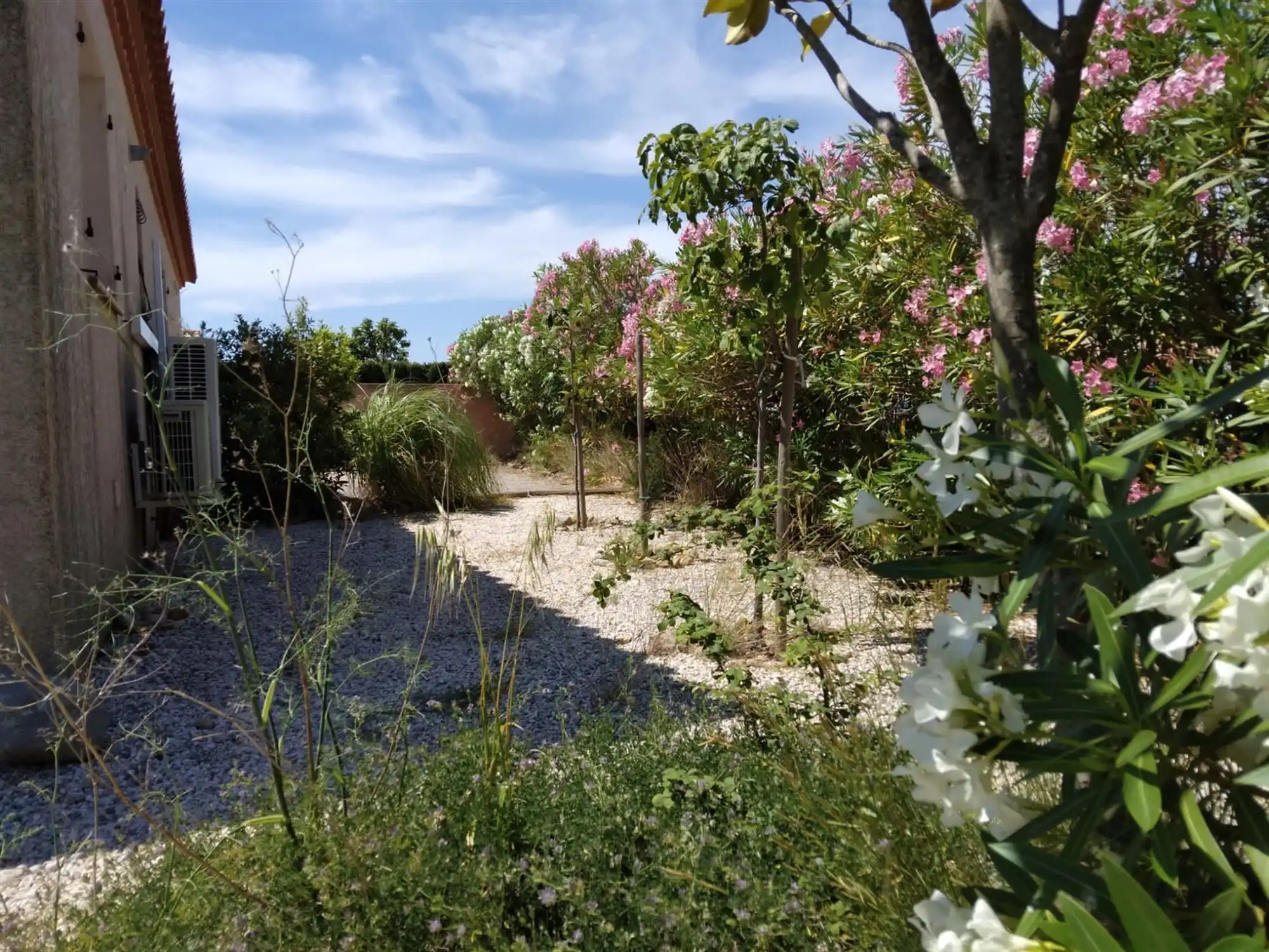Villa met 4 slaapkamers - tussen Perpignan en Narbonne foto 12