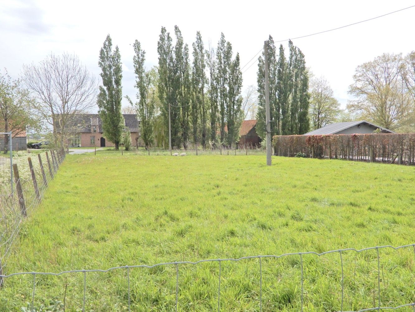 Bouwgrond te Ardooie. foto {{pictureIndex}}