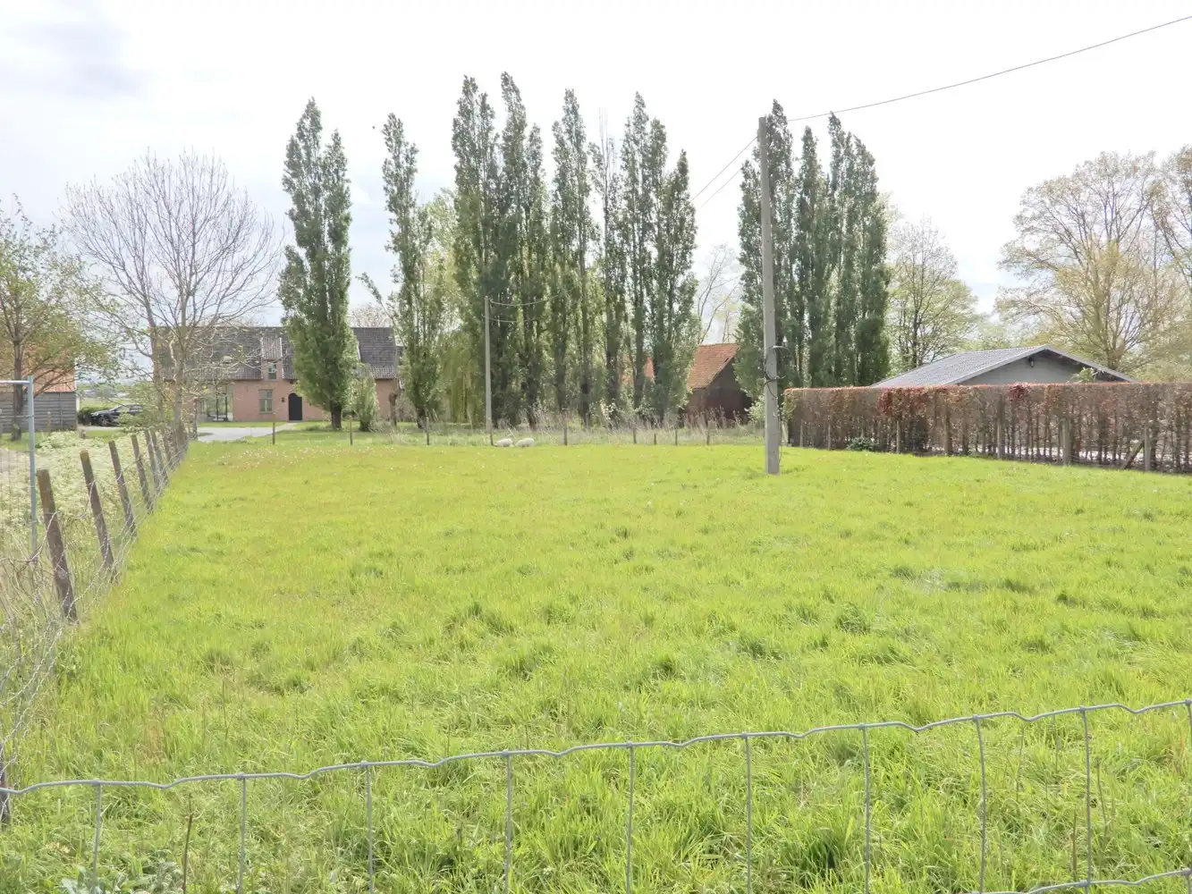 Bouwgrond te Ardooie. foto {{pictureIndex}}