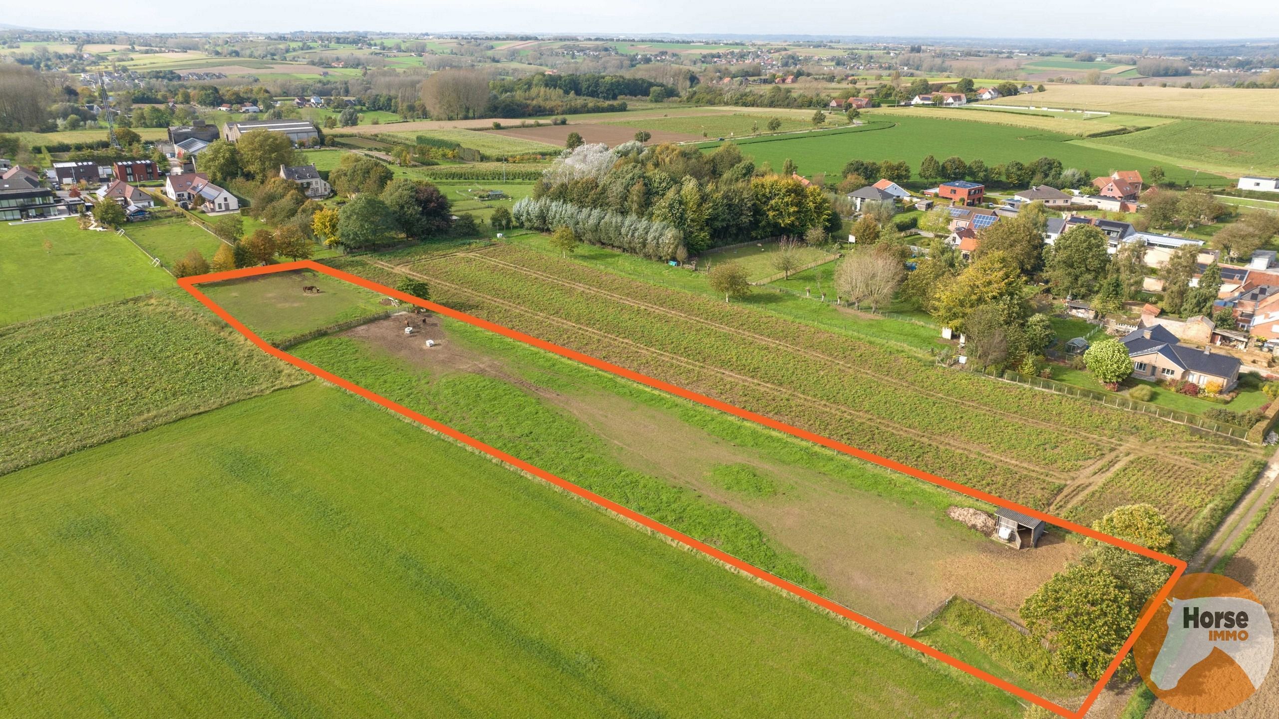 ZOTTEGEM - Weide op 66,66 are met schuilstal foto {{pictureIndex}}
