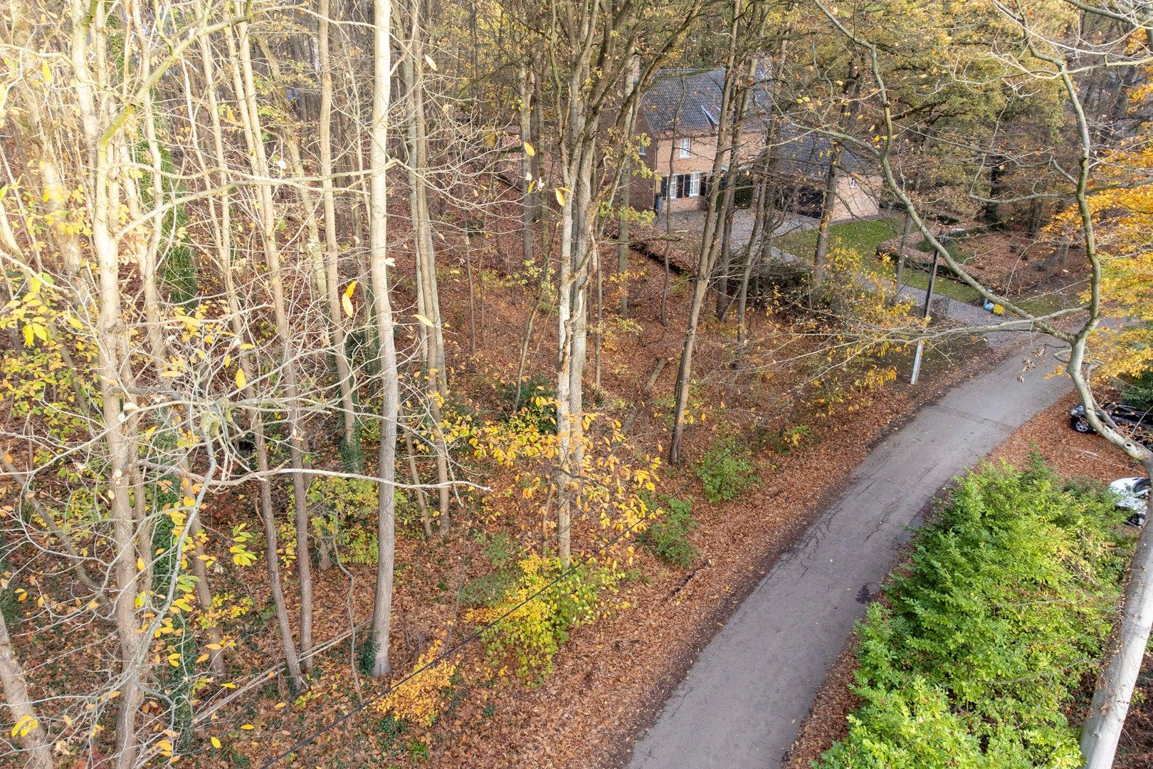 Prachtige bouwgrond van 22a 63ca te koop op een toplocatie in Hoog-Linden!  foto {{pictureIndex}}