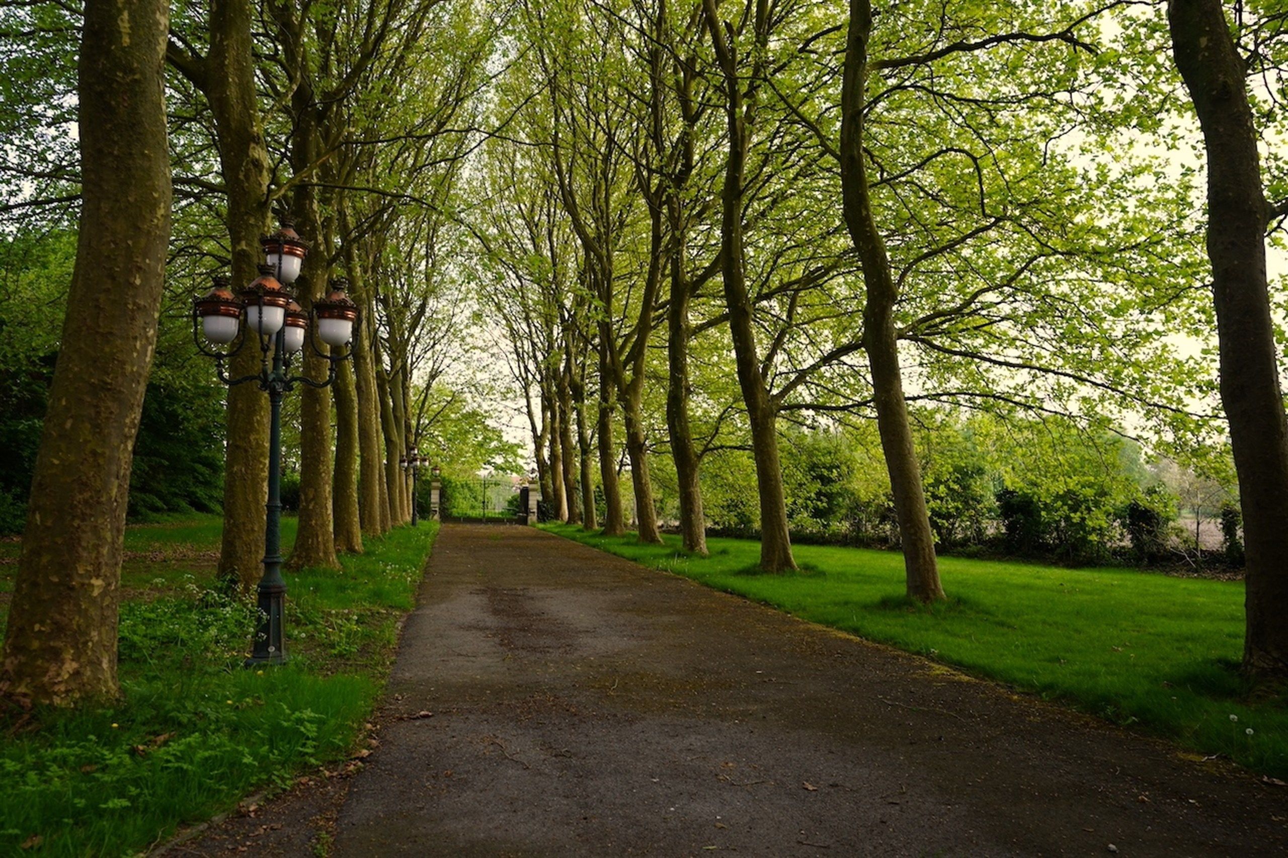 Majestueuze eigendom gelegen op een weelderig landgoed van ca. 1 ha! foto 7