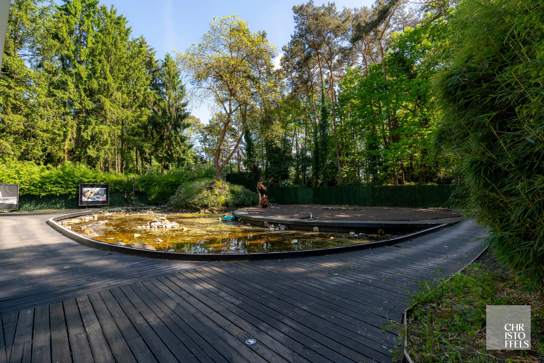 Charmante  op te frissen villa met oprijlaan, verscholen in het groen op een perceel van 1.694m² foto 6