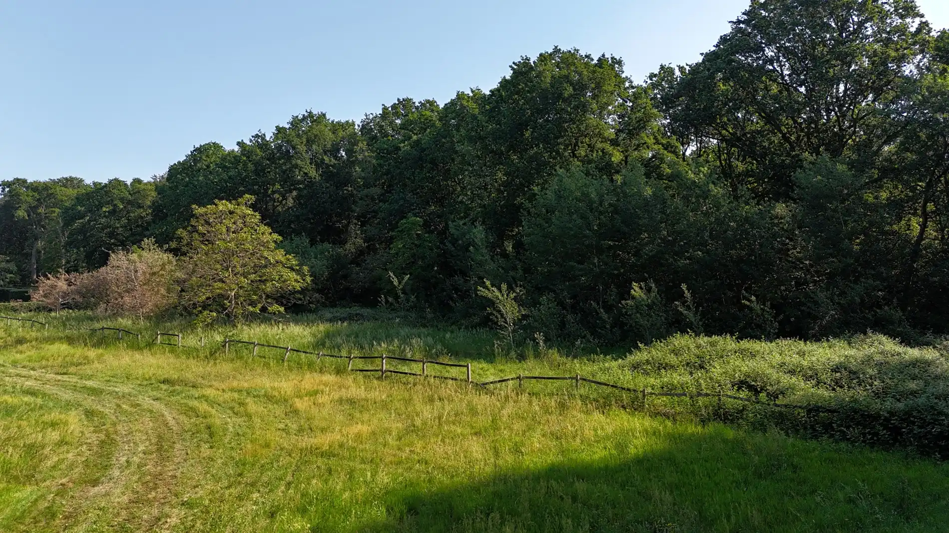 Perceel van 3.567 m² op rustige ligging in Sint-Andries! foto 3