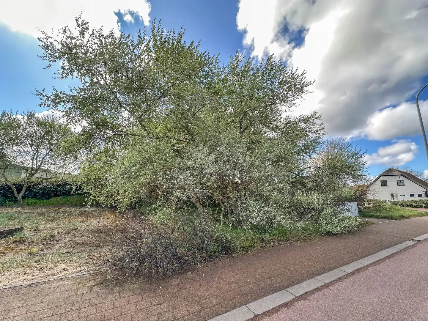 Uitzonderlijke bouwgrond (1.304m²) op een steenworp van zee (Groendijk). foto 5