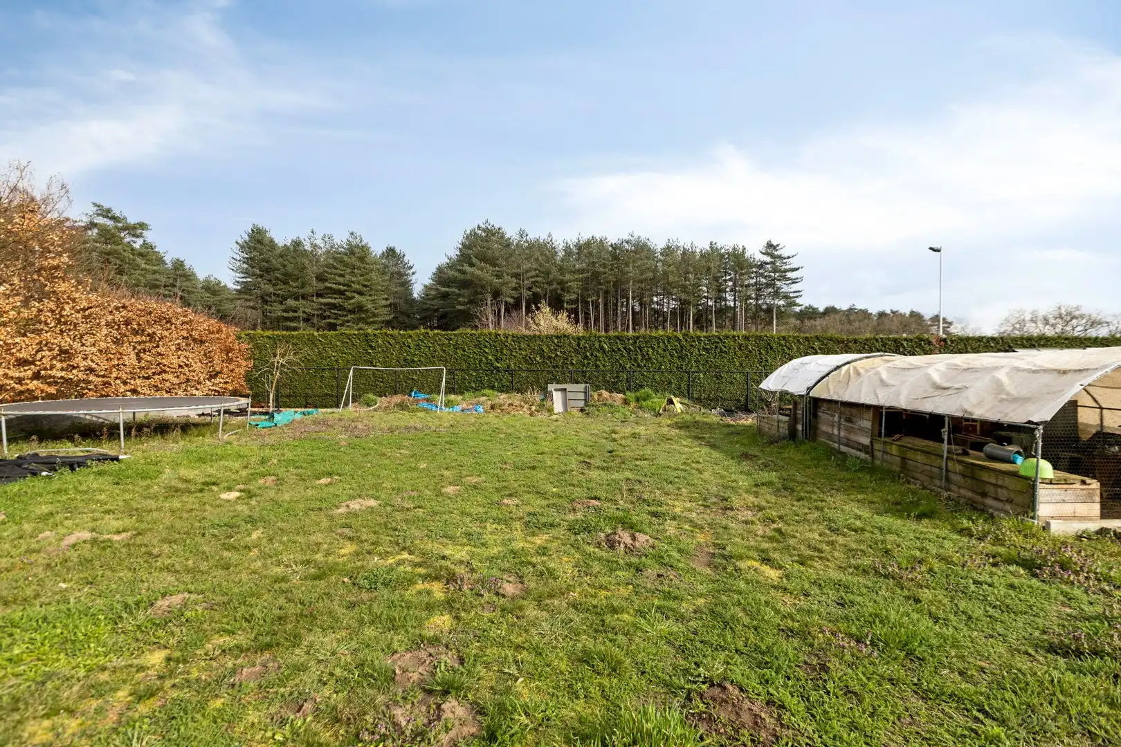 Energiezuinige gezinswoning te koop in Engsbergen, Tessenderlo foto 28