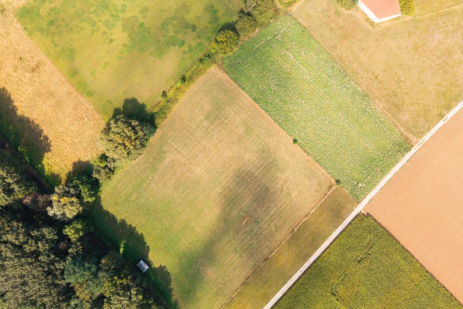 Ruim perceel landbouwgrond van 50are te Kampenhout foto 3