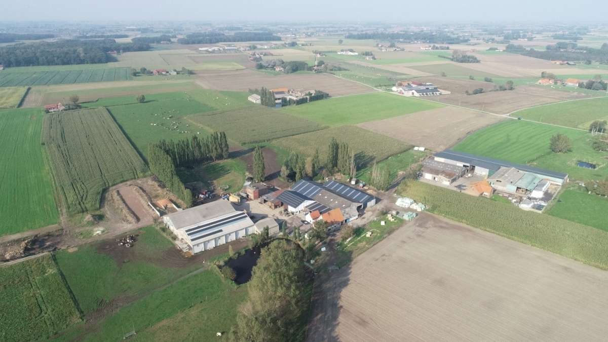 Gemengd landbouwbedrijf te Poperinge foto 2