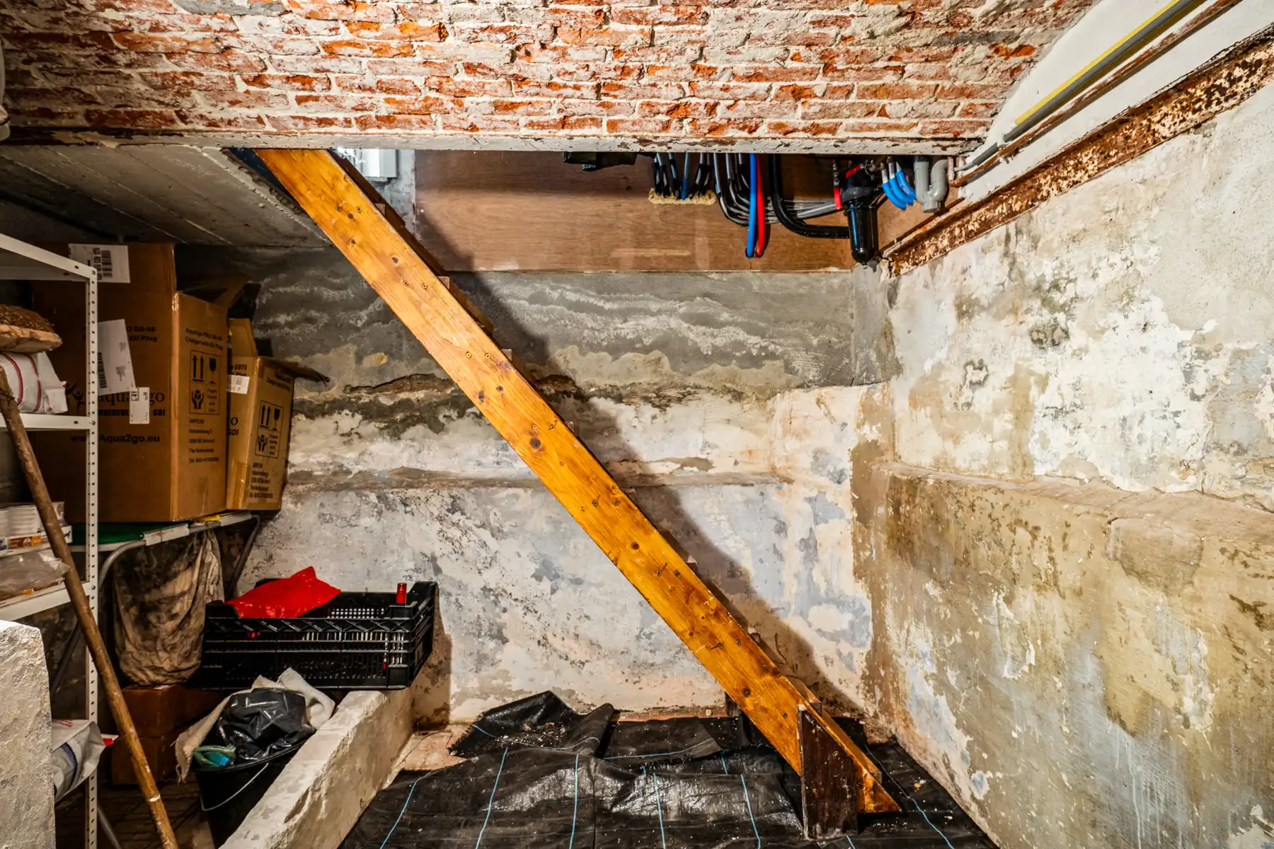 IN OPTIE. Cipierswoning met drie slaapkamers in Merksplas foto 37
