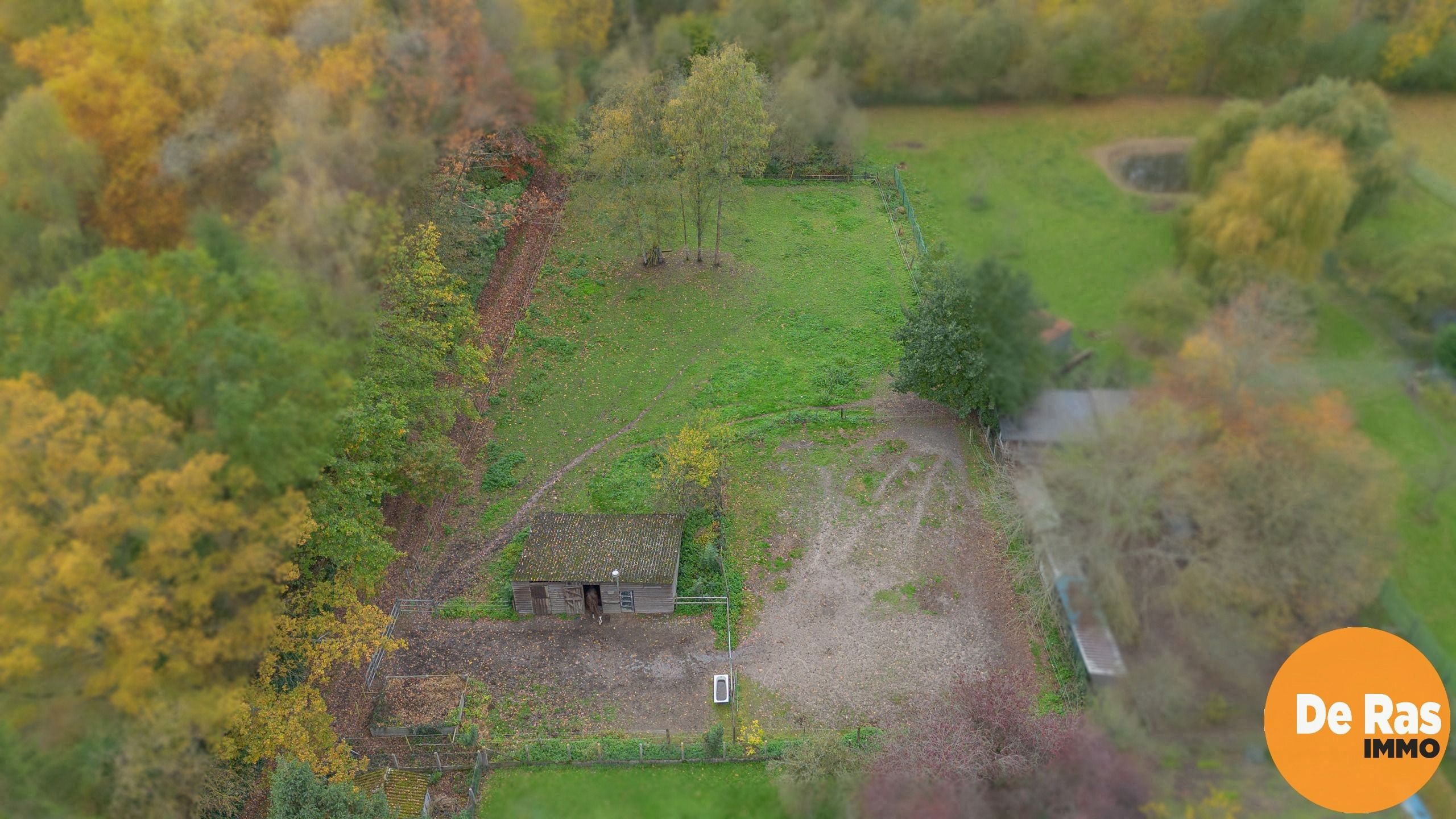EREMBODEGEM- Ruime gezinswoning met tuin en weide  foto 36