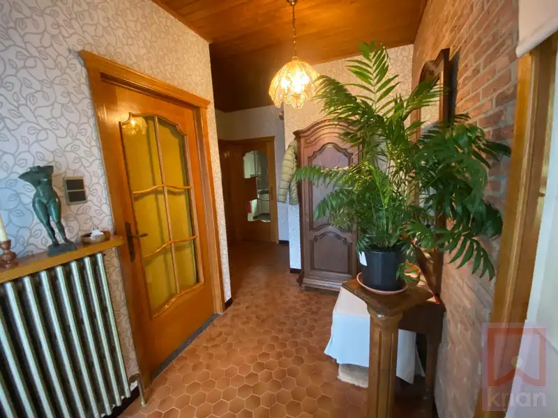 Ruime woning met tuin, 2 grote garages en kelder op grond groot 688m² foto 3