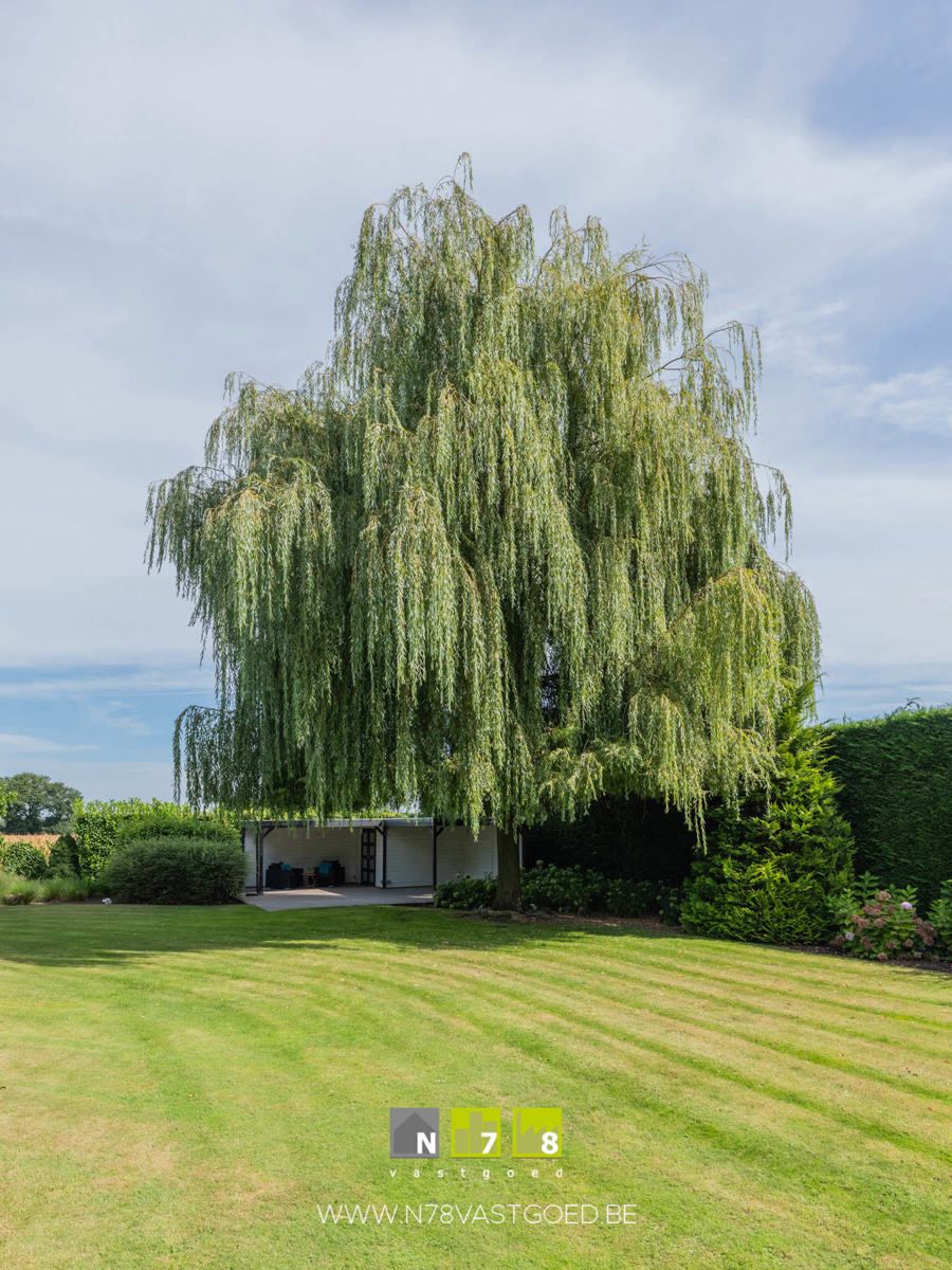 Diestersteenweg 401, 3680 Maaseik  foto 42