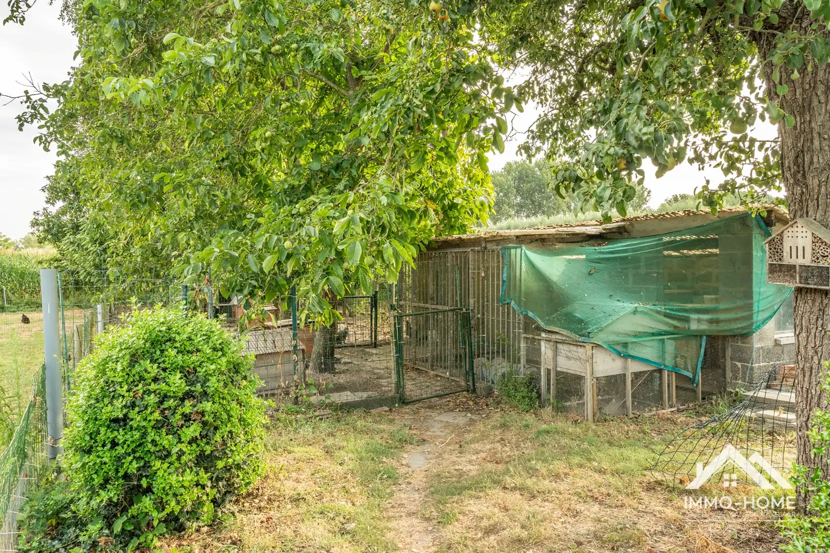 Vrijstaande woning in landelijke omgeving met veel potentieel!  foto 20