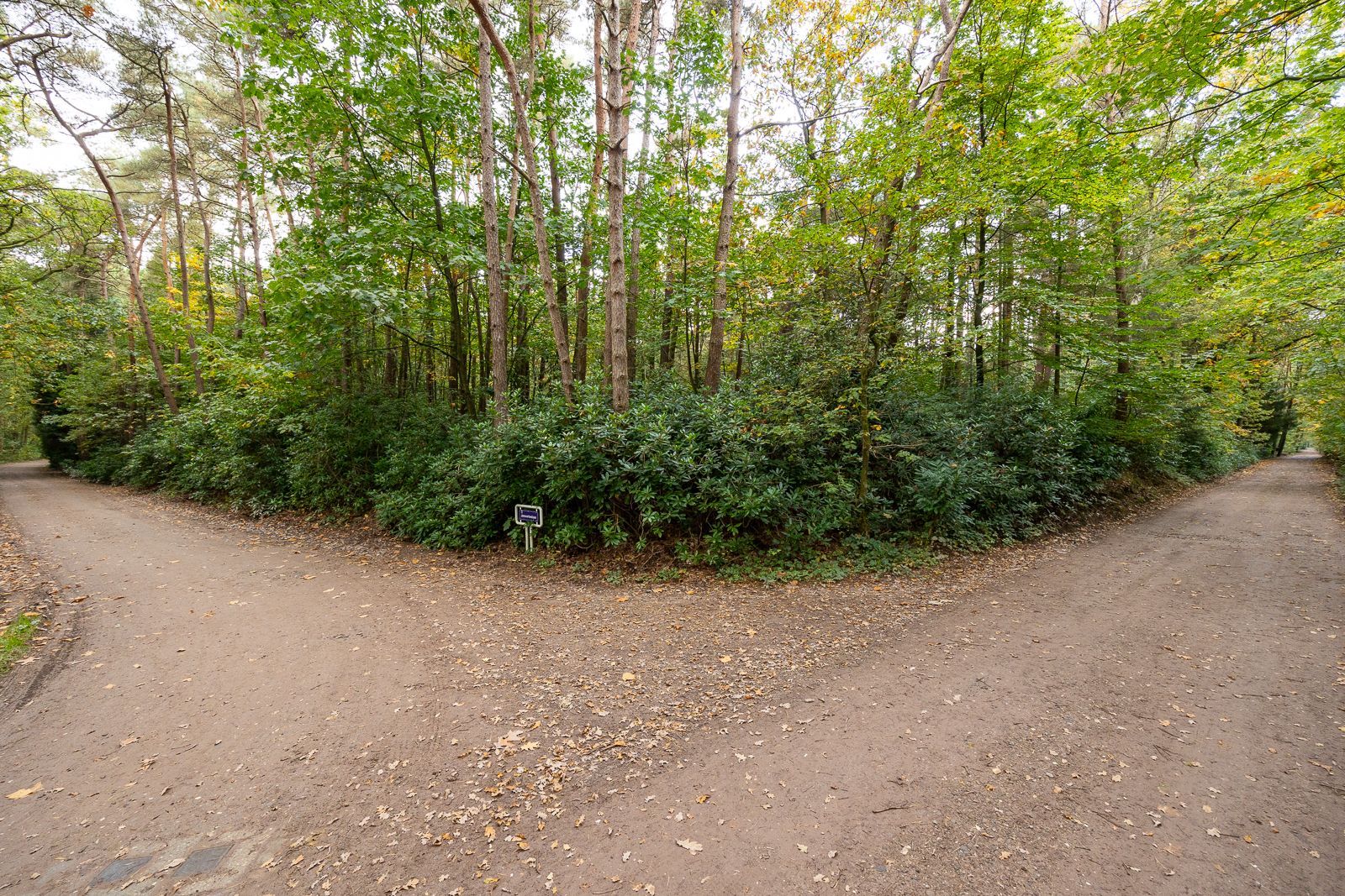 Unieke bouwgrond van 6.492,10 m² met ideale oriëntatie, rustig gelegen in het groene Wildert-Essen! foto 2