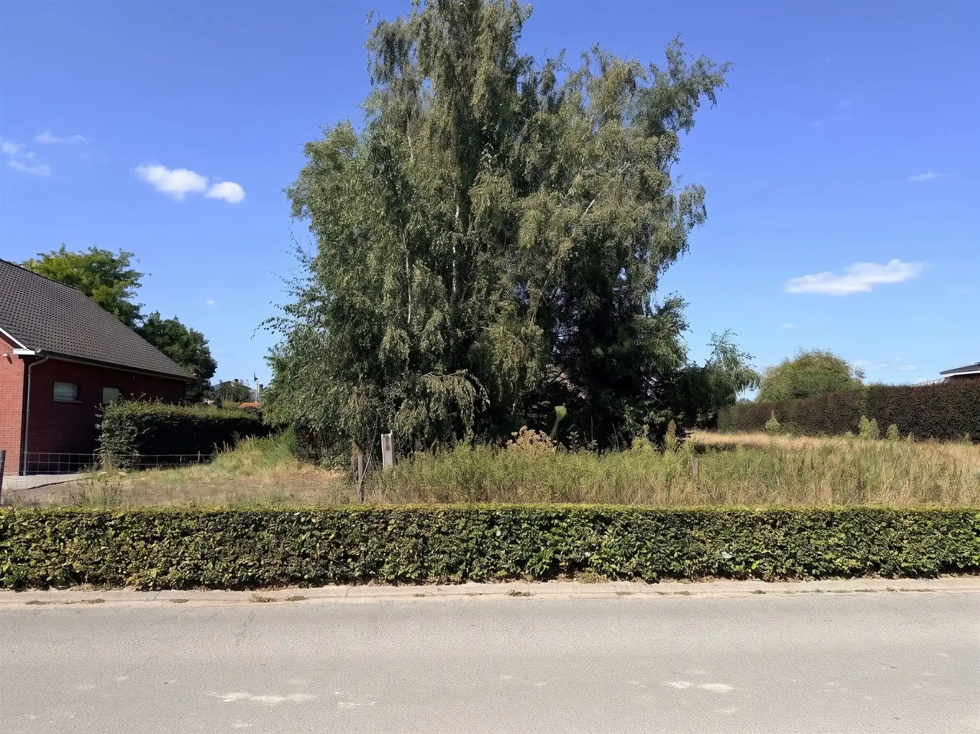 Gunstig gelegen bouwgrond van 800 m² op een centrale ligging! foto 2