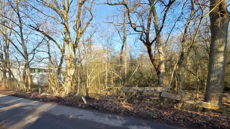 Bouwgrond van 12 are met perceelsbreedte van 24 meter foto 4