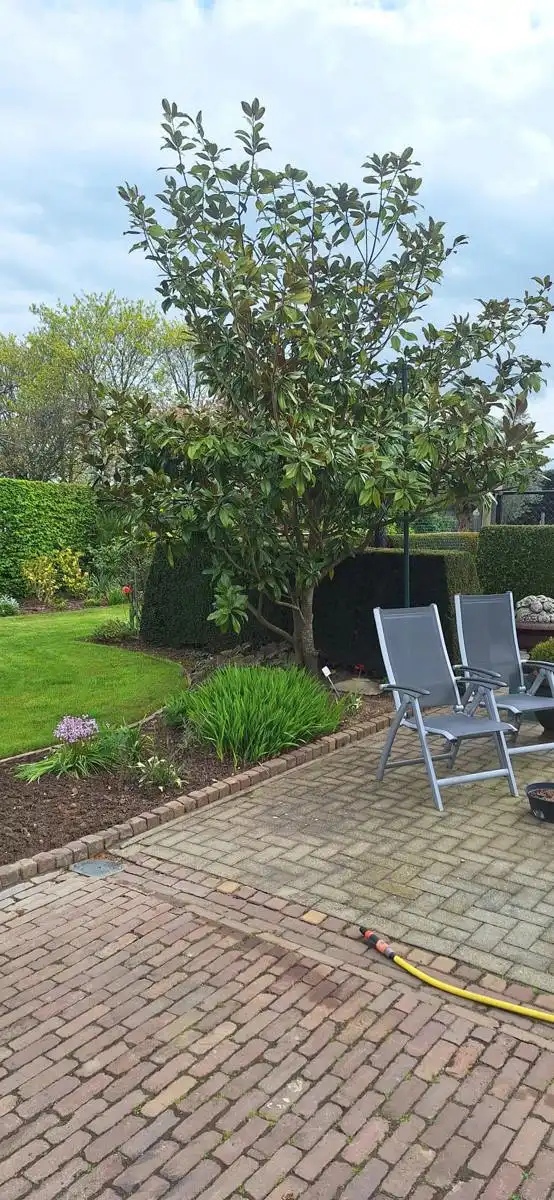 Huis te koop foto 38