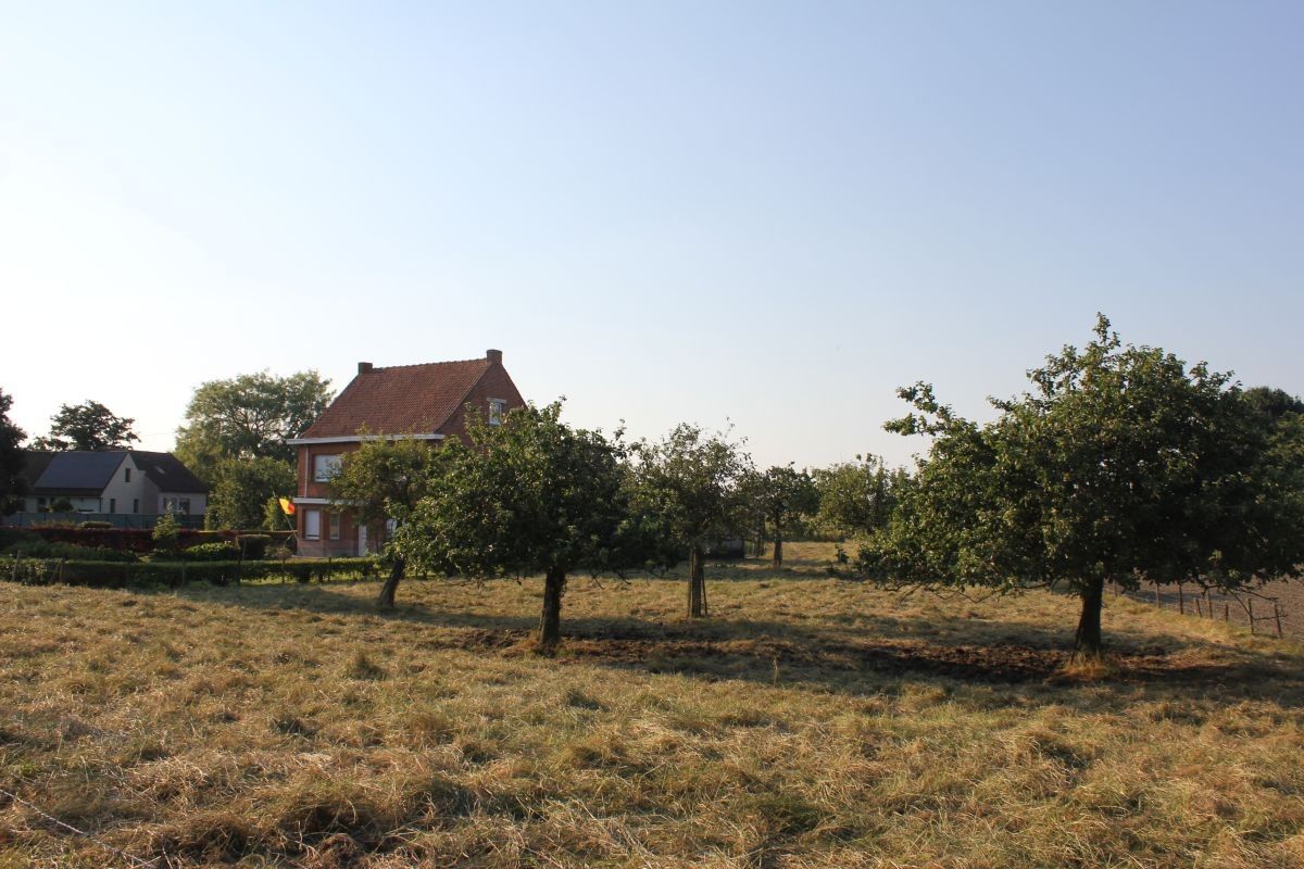 Hoevetje op 8500 m² te koop te Sint-Laureins foto 19