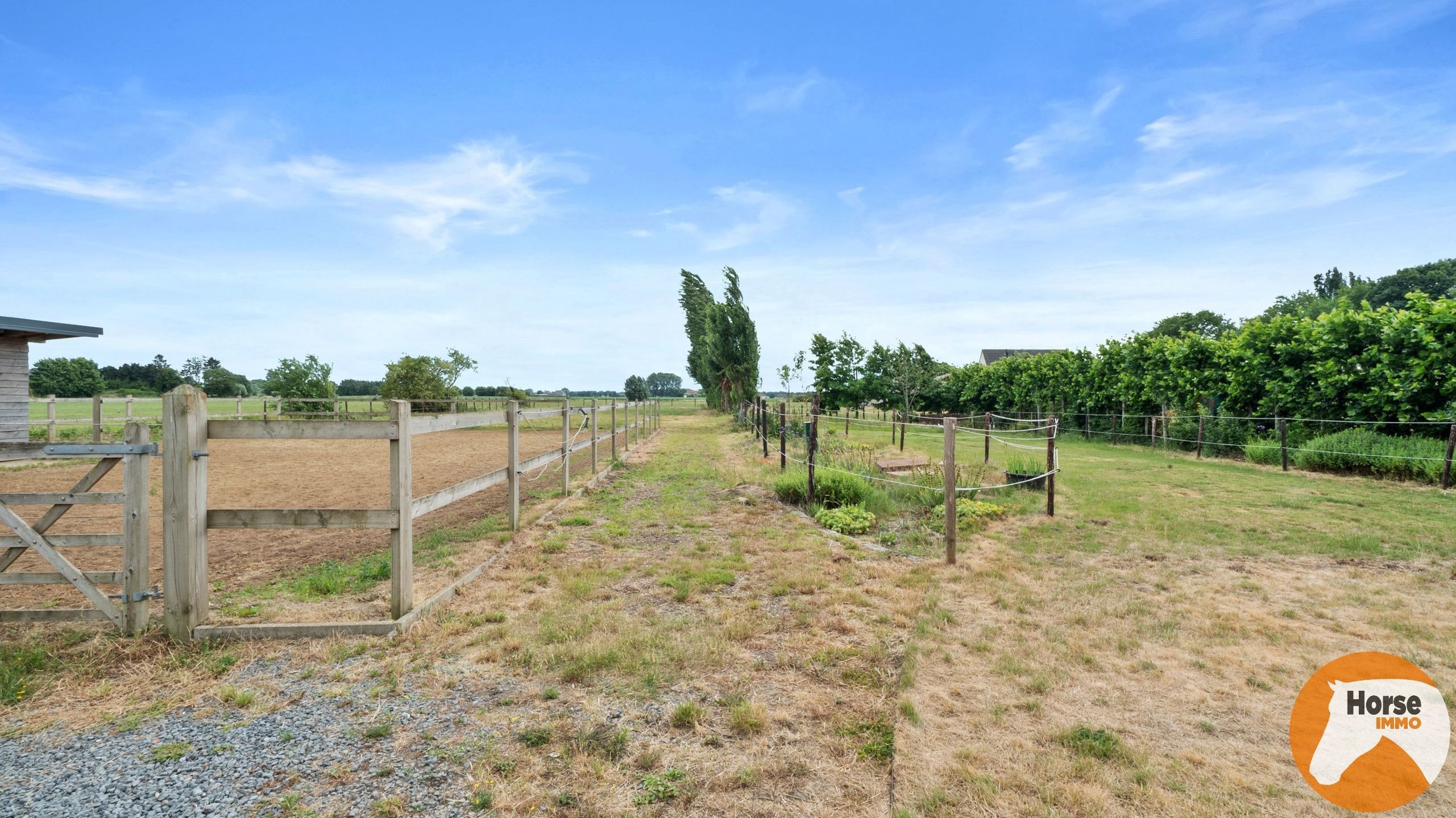 KNESSELARE - Nieuwbouw woning en bijgebouw op 41are foto 4