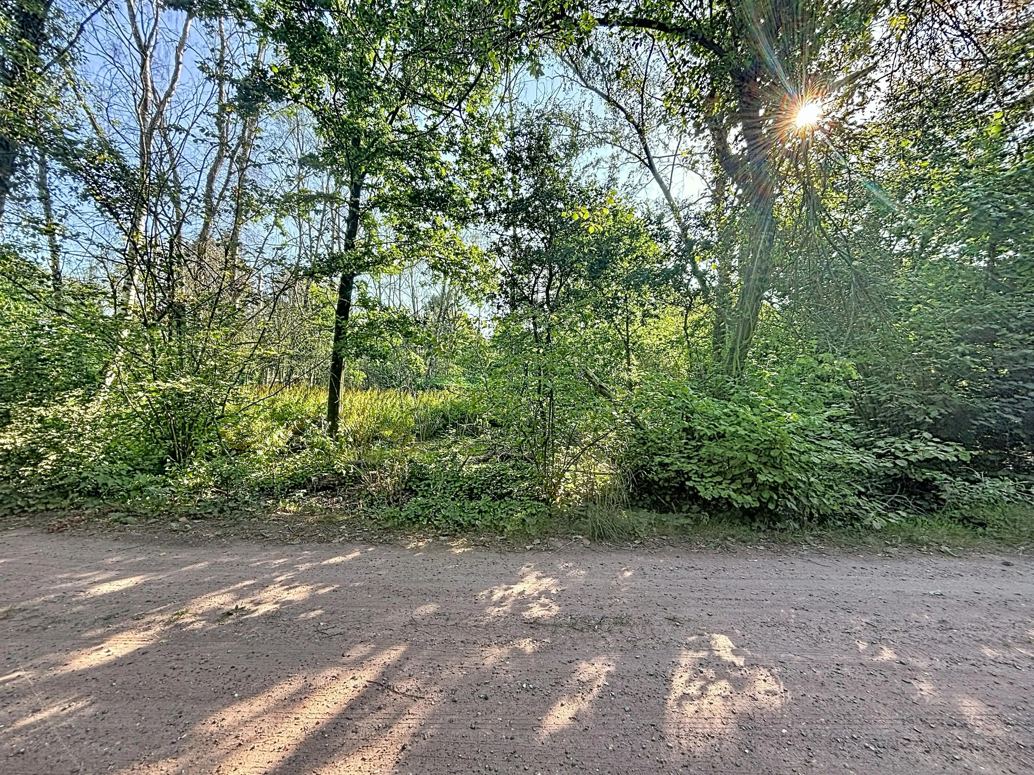 Rustig gelegen grond (ca. 1.010 m²) te koop in Wuustwezel foto 8