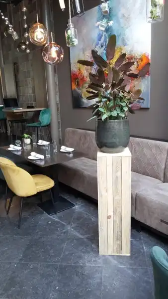 GEZOCHT: Super Ondernemer voor Horecapand met Super Ligging (Markt 16, Maaseik) foto 8