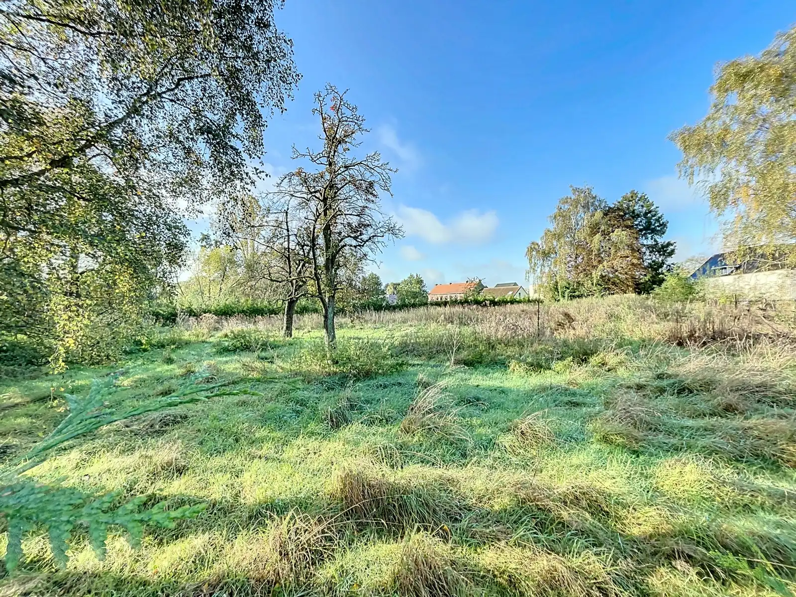 Zeer ruim huis met praktijk/pol. ruimte op terrein van 40a. foto 20