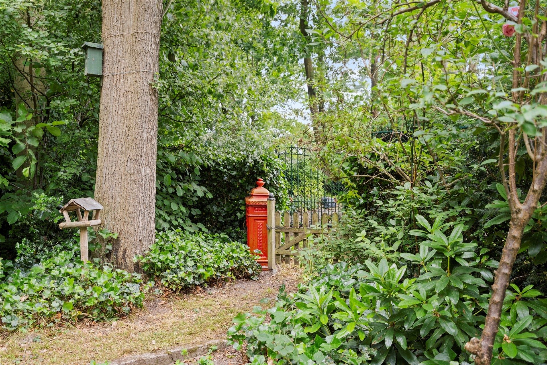 Rustig gelegen vakantiewoning op 802m² foto 17