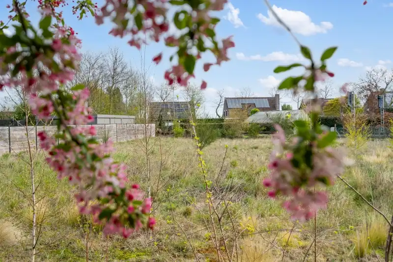 Opportuniteit: bouwgrond voor een moderne koppelwoning foto 6