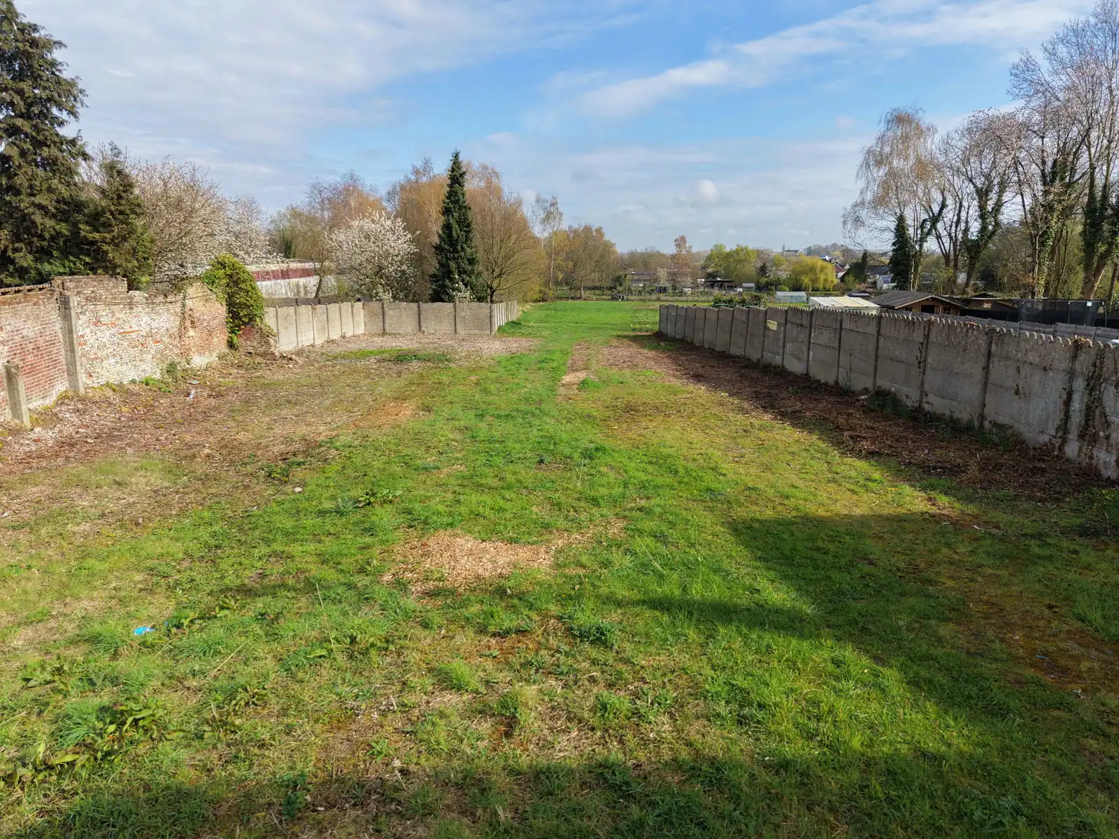 Bouwgrond + weide met diverse mogelijkheden! foto 5