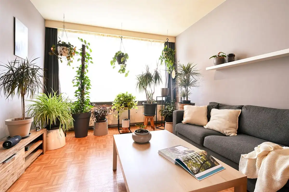 Te renoveren 2-slaapkamerappartement vlak bij Zurenborg foto 5