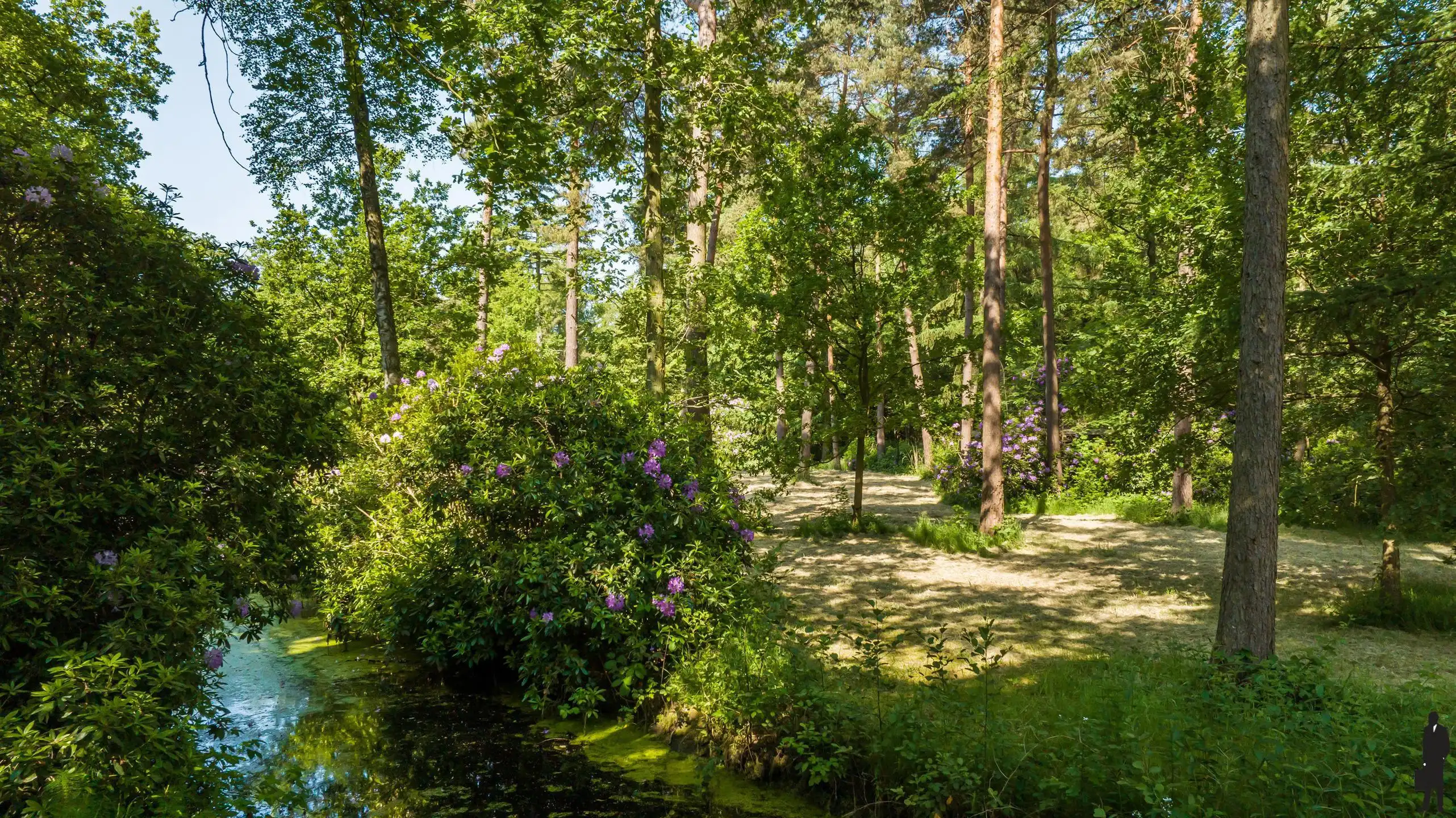 Uniek perceel met U-vorm woning, wellness én conciërgewoonst / zorgwonen en dit op ca. 2.8 hectare! foto 16