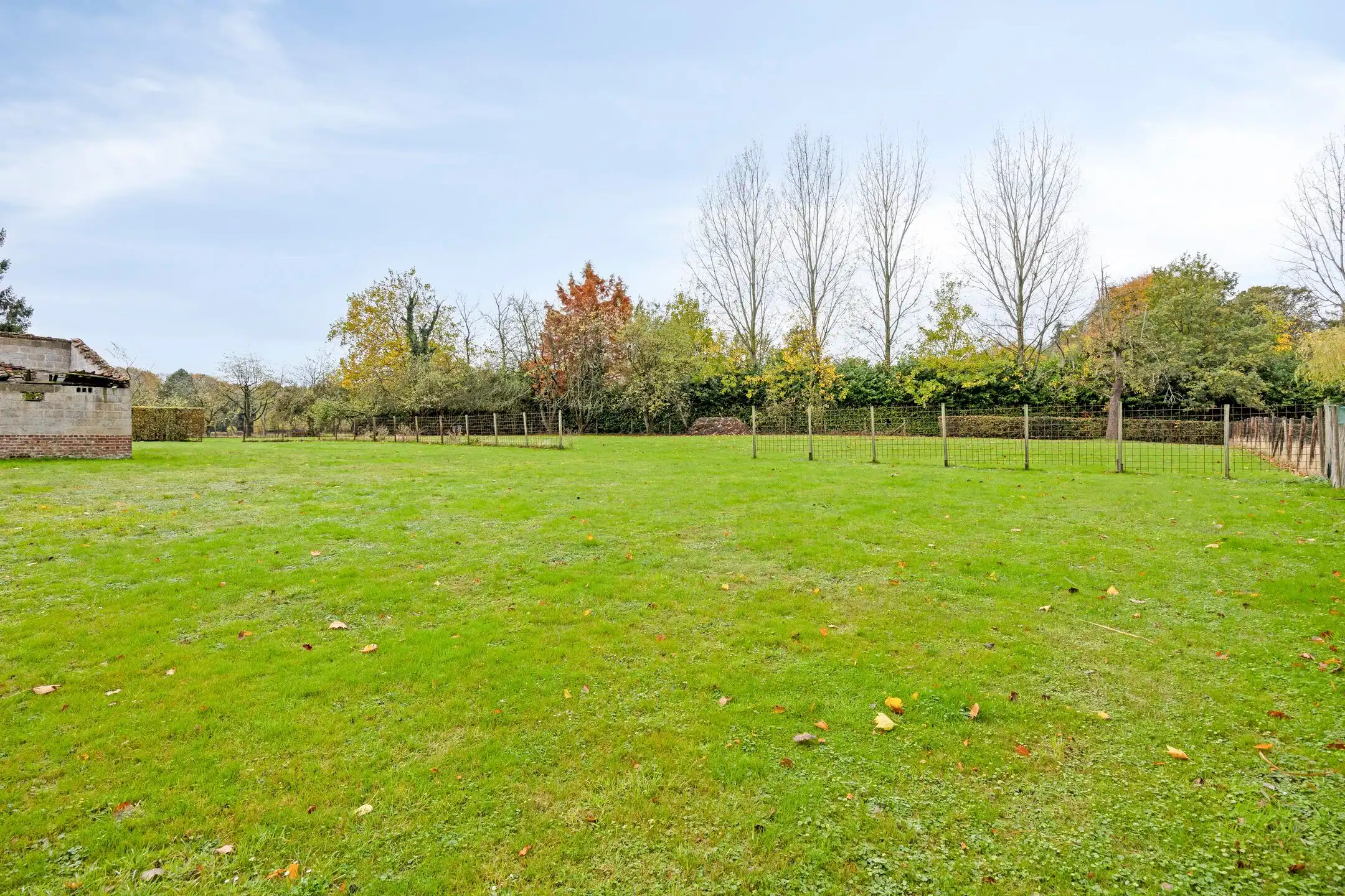 Opportune woning te Lubbeek: omringd door natuur foto 27