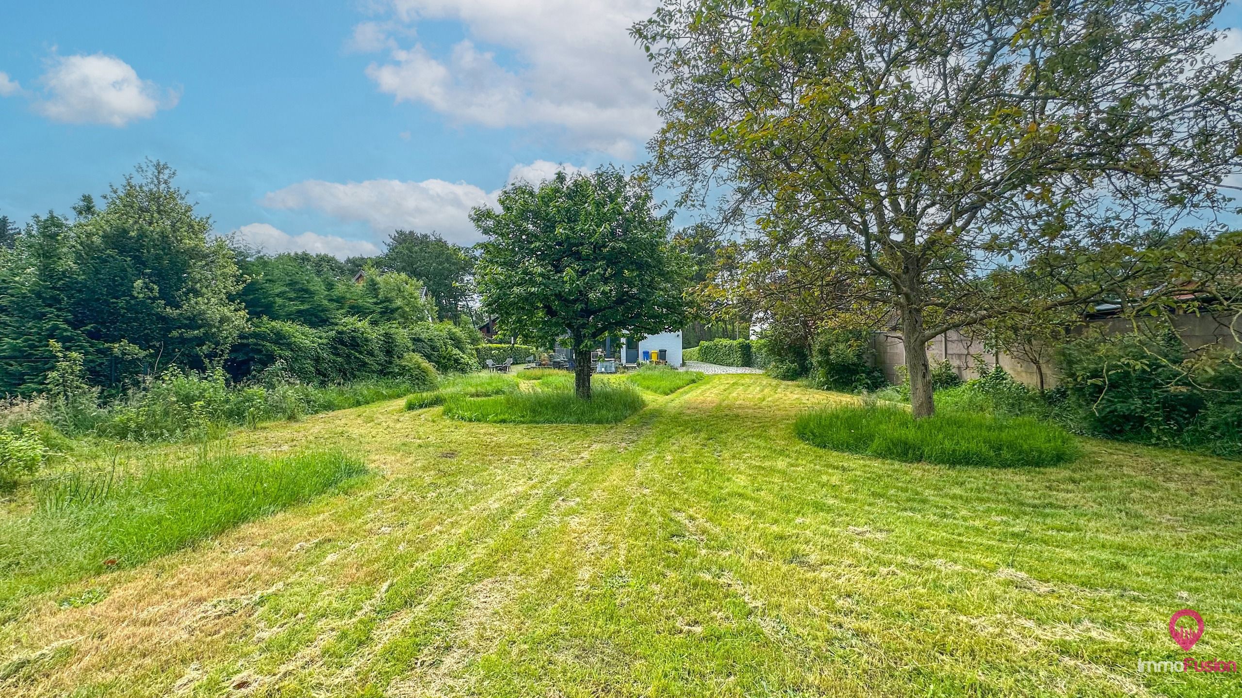 Vernieuwde woning met 5slpk op groot perceel te Bolderberg! foto 44