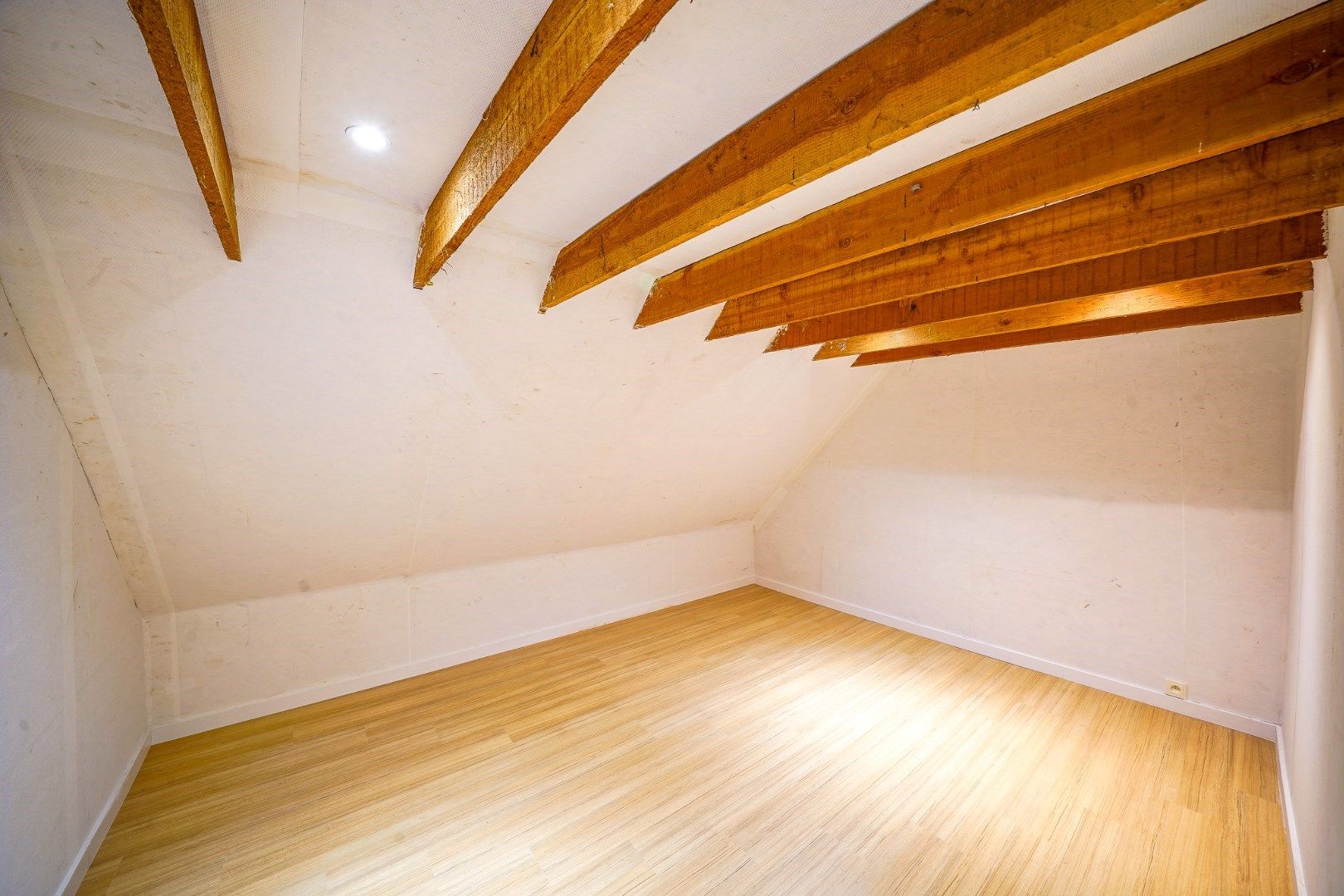Landelijke vrijstaande woning op zongericht perceel foto 14