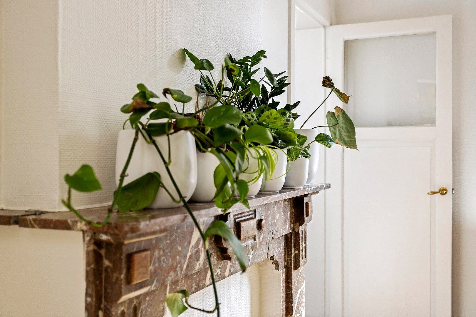 Chalet de l’Abbaye … Wevelgemse parel aan de Leie …. foto 13