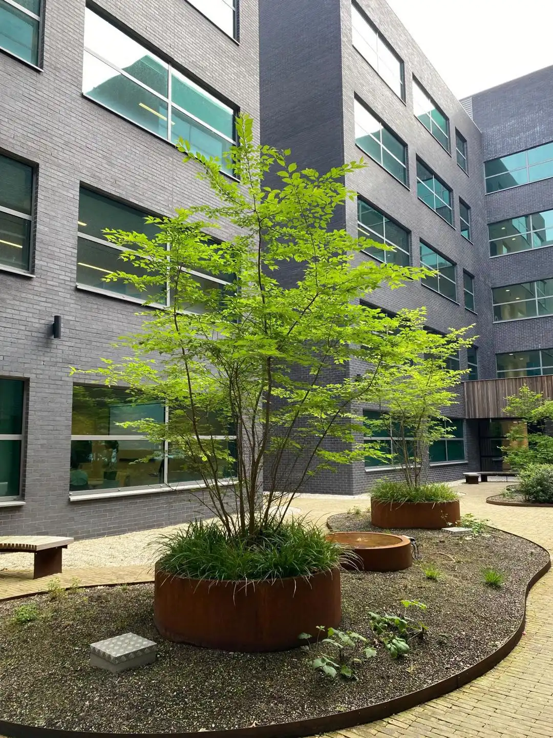 Kantoor te huur Berchemstadionstraat 76 - 2600 Berchem