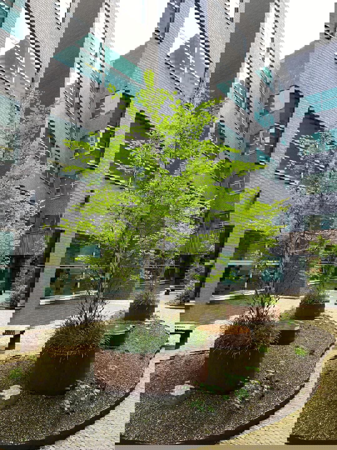 Kantoor te huur Berchemstadionstraat 76 - 2600 Berchem