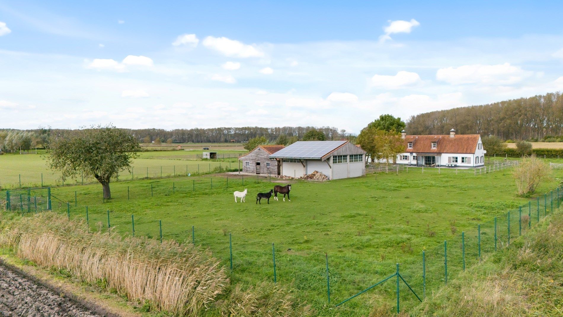 Rustig gelegen hoeve: een buitenkans voor paardenliefhebbers foto {{pictureIndex}}